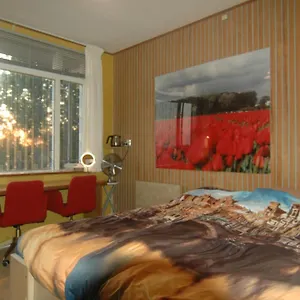 Tulip Gallery Bed and breakfast Ámsterdam